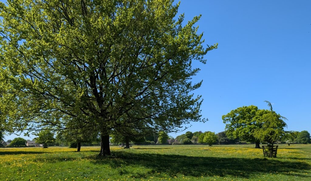 Minchinhampton Common - The Great Park